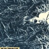 Rivers Edge [1986] / H264 / MKV / Blu-ray / 1080p / FLAC / Subs thumb