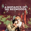 A Romance of the Redwoods [1917] / H264 / MKV / WEB / 1080p / AAC / Zxx thumb