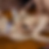 [OnlyTarts.com] Polly Yangs, Milka Way - Cheerleaders You Cant Resist [2025 ., All Sex, Anal, Blonde, Hardcore, Natural tits, Threesome, Cumshot, Facial, Teen, 1080p] thumb