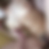 [FC2PPV.net / FC2.com] A shy gal with huge breasts who can't be spoiled by men! Are you happy with the Icharab creampie sex that makes the H cup body rampage? [FC2-PPV-3686429][uncen] [2023 ., All Sex, Blowjob, Big Tits, Creampie, 1080p] thumb