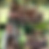 [Oldje.com / ClassMedia.com] Oldje №737 - Young Pussy On A Swing - Roxy Lips [2019 ., balls-licking, blowjob, close-up, cum-on-body, cunnilingus, deepthroat, doggy-style, missionary, position-69, old-young, 1080p, WEB-DL] thumb