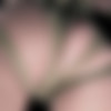 [hardtied.com] Pussy Hammock | Alex More || 720p thumbnail