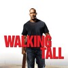 Walking Tall [2004] / H264 / MKV / Blu-ray / 1080p / DTS / Subs / Scene / BestHD thumb