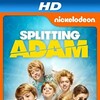 Splitting Adam 2015 1080p WEB H264-DiMEPiECE thumb