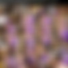 [manyvids][maxinex.com] Megapack thumb