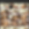 [dreamtranny.com] DreamTranny Collection thumbnail