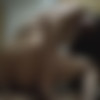 HorrorPorn.com - The Demon's Grip (1080p) thumb