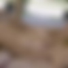 [PlayboyPlus.com] 2019 Mila Azul - Beyond Compare 22.07.19 [Erotic] [1080p] thumb