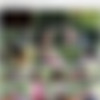 [VivThomas.com] Alyssa Bounty & Dolly Diore - Garden Love [2021.06.08, Lesbian, Outdoor, Barefoot, Bikini, Panties, 69, Fingering, Anal Play, Tattoo, 720p] thumb
