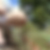 [ATKGirlfriends.com] Sadie Blake (Hawaii 3/12) [2019 ., POV, Piss, Blowjob, Orgasm, Masturbation, Daddy, 2160p, 4k] thumb