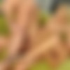 [DPFanatics.com / 21Sextury.com] Summer Breeze (A Light Summer Breeze) [04.12.2010 ., Russian, Blonde, Natural Tits, Oral, Hardcore, Anal, DP, Facial, 1080p, SiteRip] thumb