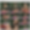 [Bikini-Pleasure.com] 2013 - 10 / 9  [ Erotic ][720p] thumb