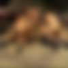 DP Compilation  1 [2013 ., Anal, Group, DP, Double Penetration, SiteRip] thumb