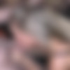 [SplatBukkake.com / UKxxxPass.com] Loula Lou, Sammy Goud - Loula Lou sucks cock with her new Dutch pal Sammy Goud (SB 157) (16.02.2022) [2022, Bukkake, MILF, Blonde, Big Tits, Tattoo, Piercing, Blowjob, Balls Licking, Handjob, Cumshot, Cum on Tits, Facial, 720p] thumb