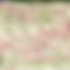 [WOWGIRLS.COM] Image siterip, 622 sets [2018, 2019] thumb