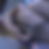 [FERRONETWORK.com / LickNylons.com] (Olga Barz) Matty, Rosa / g658 (12/07/2012) [2012, Femdom, Lesbo, Russian, Oral, Stockings, SiteRip, 720p] thumb