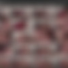 Shay Fox Megapack thumbnail