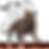 Bridgette B aka The Spanish Doll 175 scene MEGAPACK thumb