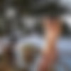 [photodromm.com] 2020-03-07 Teddy aka Teodora - In The Fence 2 [Erotic, Posing][1080p] thumb