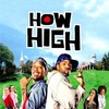 How High 2001 1080p BluRay DDP 5 1 H 265 -iVy thumb