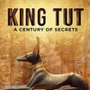 King Tut: A Century of Secrets [2022] / H264 / MKV / WEB / 1080p / AAC / Subs / Scene / REALiTYTV thumb