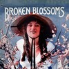 Broken Blossoms [1919] / H264 / MKV / DVD / SD / AC3 / HANDJOB thumb