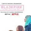 Blackpink Light Up the Sky 2020 2160p WEBRip x265-LiQUiD thumb