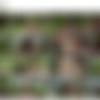 [Spankingsarah.com] Clover - Don't Trespass In My Field /      (--, Clover, Spankingsarah) [2017 ., Spanking, Discipline, 1080p, SiteRip] thumb