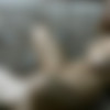 [chaturbate.com] Loversperverts 2019-04-18 [2019 ., All Sex,Blowjob, 720p, WebCam] thumb