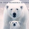 Polar Bear 2022 1080p WEB H264-KDOC thumb