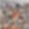 SpecialExamination.com [Siterip till August 2011] thumbnail