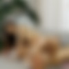 [OnlyTarts.com] Mia Mi - Butt Is Ready, Stepdaddy [2024, All Sex, Anal, Hardcore, Straight, Natural tits, Small tits, Cumshot, Facial, Teen, 2160p] thumb