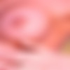 [PlayboyPlus.com]  2002  (254 ) [Erotic, Solo, Nude, Posing, 1080p, SiteRip] thumb