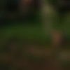 [Hegre.com] 2020-06-16 Clover Swinging In Bali 4K [solo, posing, photoshoot, outdoors] [2160p, HDRip] thumb