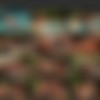 PureCFNM.com [381 Scenes][720p] - #27 thumbnail