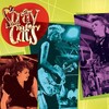 Stray Cats: Live at Montreux 1981 [2012] / H264 / MKV / DVD / SD / AC3 thumb