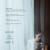 Personal Shopper 2016 LIMITED 1080p BluRay x264-USURY thumb