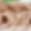 [X-Art.com] Carla, Abby (aka Abigaile Johnson) (Blonde Ambition / 05.03.12) [2012 ., All Sex, Teen, Threesome] thumb