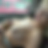 ATKGirlfriends 2018-03-19 to 2018-04-01 [2160p] thumb