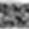 vintagecuties.com 1950-1960 thumbnail
