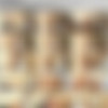SpecialExamination.com [Siterip till August 2011] thumbnail