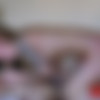 [WoodmanCastingX.com] MISHA MAVER CASTING * Updated * [2020-09-09, anal, dp, hardcore, tattoo, piercimg, threesome fmm, rimming, cum swallowing, big fake boobs, 1080p, HDRip] thumb