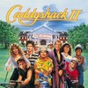 Caddyshack II [1988] / H264 / MKV / WEB / 1080p / AC3 / Subs / NTb thumb