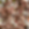 [TryTeens.com] Serenity (30.06.11 ) [2011 ., All Sex, Anal, Teen] thumb