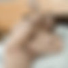 [WeAreHairy.com] Stasy Starando - Stasy Starando Awakens To Masturbate In Bed [2025.02.16, Teen, Solo, Masturbation, Hairy, 1080p] thumb