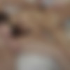 [spoiledvirgins.com] Lera-15.01.2010 [All sex,Teen] thumb