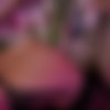 [PlayboyPlus.com] Elsa Jean (Magic Moments) Elsa Jean - Magic Moments 12.07.19 [2019, Erotic, 1080p] thumb