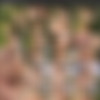 Michelle Honey (13) MiniPack [2006-2010, Anal, Facial, MILF, Big Tits] thumb