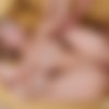 [SheIsNerdy.com / DirtyFlix.com] Iris Kiss (Nerdy Chick With Anal Desires) [2021-07-21, Teen, Anal, 1 On 1, Hardcore, Blowjob, Cowgirl, Reverse Cowgirl, Side Fuck, Missionary, Cumshot, Cum On Pussy, Blonde, Shaved, 1080p] thumb