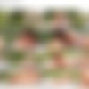 [Clubseventeen.com] Arwen Gold - Beautiful Brunette Fucked At A Picnic [2017 ., Blowjobs, Brunettes, Cum Shot, Hardcore, Public, Shaved, Teens, Outdoor, 1080p] thumb